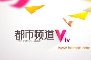 海王廣告 專業鑄就卓越，精準賦能河北電視臺廣告優勢發布